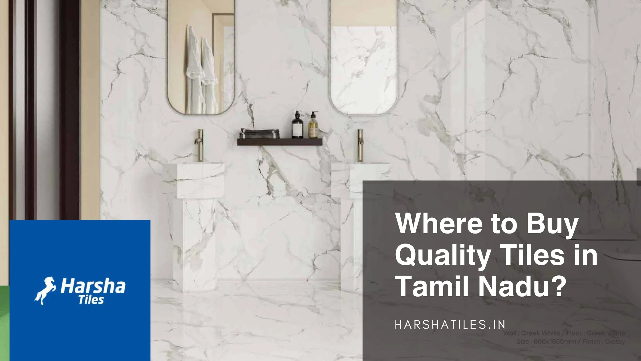 Where to Buy Quality Tiles in Tamil Nadu?