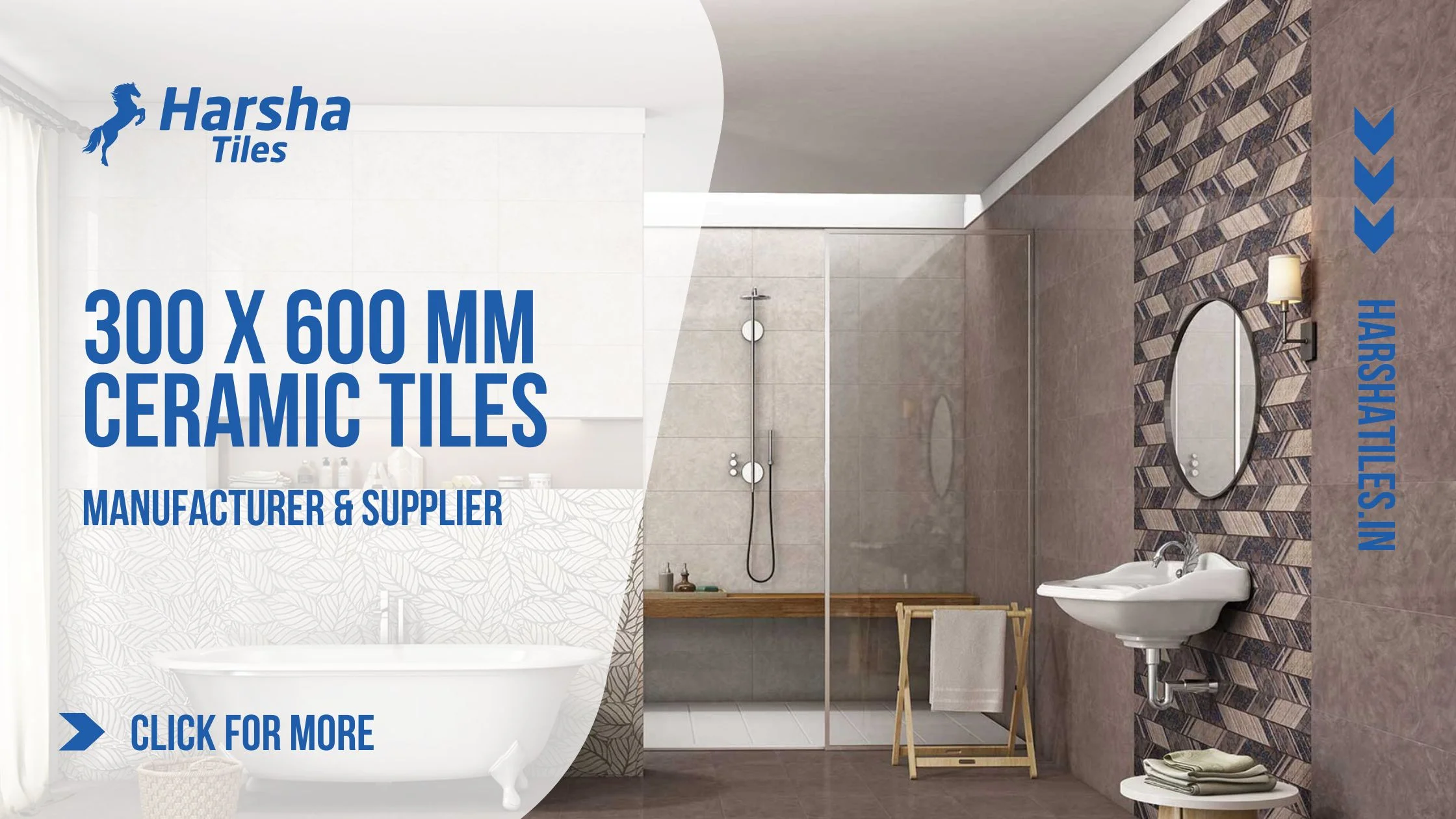 300 x 600 mm Ceramic Tiles Manufacturer & Supplier