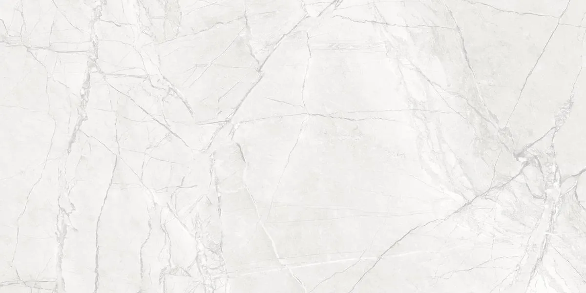 GVT Tiles - 1200 x 600 mm - Glossy - HT-7073 | Harsha Tiles